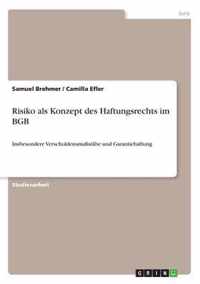 Risiko als Konzept des Haftungsrechts im BGB