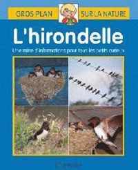 Gros plan sur la nature 36. l'hirondelle