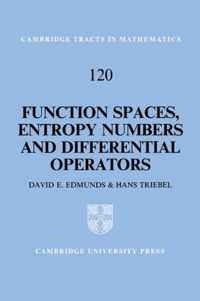 Function Spaces, Entropy Numbers, Differential Operators