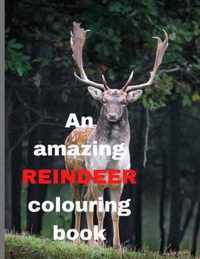 An amazing REINDEER colouring book