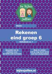 Oefenboek CITO rekenen - eind groep 6 - deel 1 - basisonderwijs - de bijlesjuffen - oefenen - citotoets - LVS - kinderen - boeken - leren - school - Einstein - werkboek van meer dan 100 leuke en leerzame opdrachten!