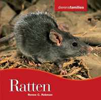 Dierenfamilies  -   Ratten