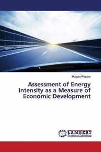 Assessment of Energy Intensity as a Measure of Economic Development