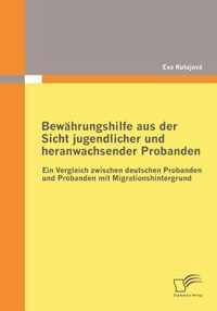 Bewahrungshilfe aus der Sicht jugendlicher und heranwachsender Probanden