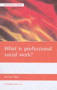 What Is Professional Social Work?