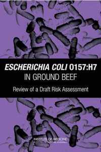 Escherichia coli O157:H7 in Ground Beef