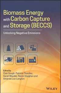 Biomass Energy with Carbon Capture and Storage (BECCS)