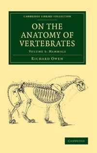 On the Anatomy of Vertebrates