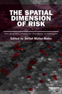 The Spatial Dimension of Risk