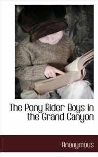 The Pony Rider Boys in the Grand Canyon