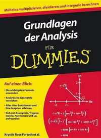 Grundlagen der Analysis fur Dummies