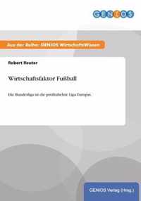 Wirtschaftsfaktor Fussball