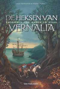 De heksen van Vernalia - Johan Vandevelde - Paperback (9789461317667)