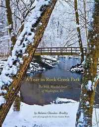 A Year in Rock Creek Park