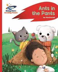 Reading Planet - Ants in the Pants! - Red A