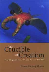 Crucible Of Creation