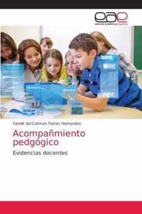 Acompanmiento pedgogico