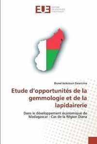 Etude d'opportunites de la gemmologie et de la lapidairerie