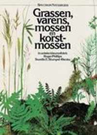 Grassen Varens Mossen Korstmossen