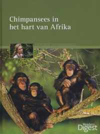 Chimpansees in het hart van Afrika.  Expeditie dierenwereld