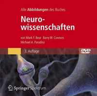 Bild-DVD, Neurowissenschaften