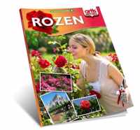 Rozen