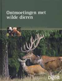 Ontmoetingen Met Wilde Dieren