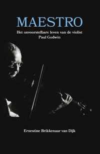 Maestro - Ernestine Brikkenaar van Dijk - Paperback (9789065234537)