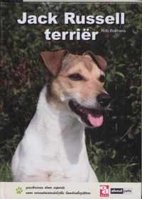 Over Dieren - Jack Russell terriër