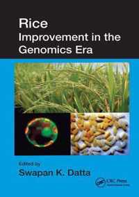 Rice Improvement in the Genomics Era