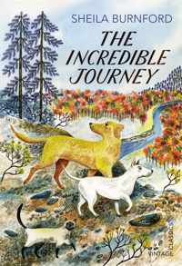 The Incredible Journey