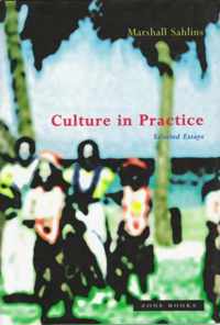 Culture in Practice  Collected Essays