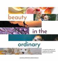 Beauty in the Ordinary