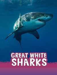 Great White Sharks