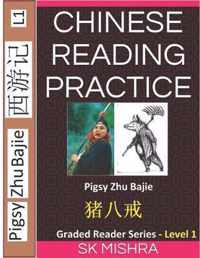 Chinese Reading Practice