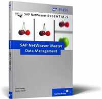 SAP Netweaver Master Data Management