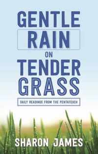 Gentle Rain on Tender Grass