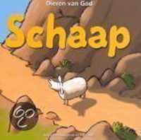 Schaap