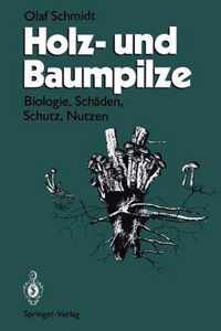 Holz- und Baumpilze