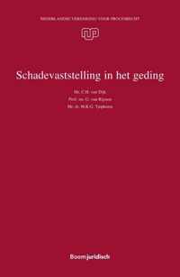 NVvP-reeks 44 -   Schadevaststelling in het geding