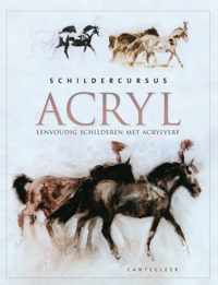 Schildercursus Acryl