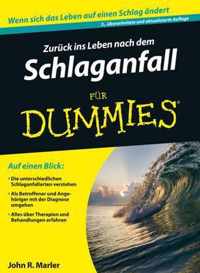 Zuruck ins Leben nach dem Schlaganfall fur Dummies 2e