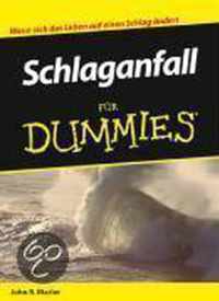 Schlaganfall für Dummies