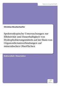 Spektroskopische Untersuchungen zur Effektivitat und Dauerhaftigkeit von Hydrophobierungsmitteln auf der Basis von Organosiliciumverbindungen auf mineralischen Oberflachen