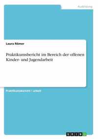 Praktikumsbericht im Bereich der offenen Kinder- und Jugendarbeit