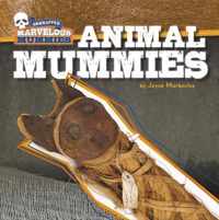 Animal Mummies