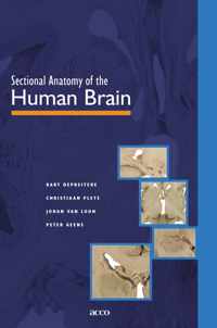 Sectional anatomy of the human brain