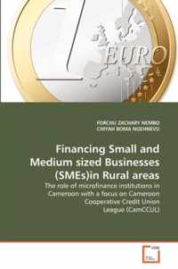 Financing Small and Medium sized Businesses (SMEs)in Rural areas