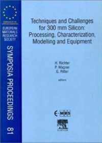 Techniques and Challenges for 300 mm Silicon: Processing, Characterization, Modelling and Equipment