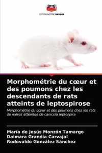 Morphometrie du coeur et des poumons chez les descendants de rats atteints de leptospirose